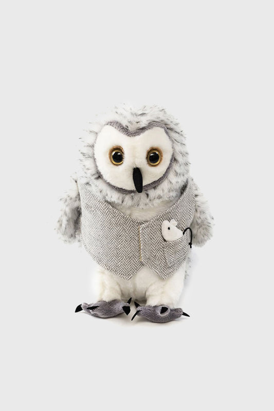 Queenie the Queen Owl Doorstop