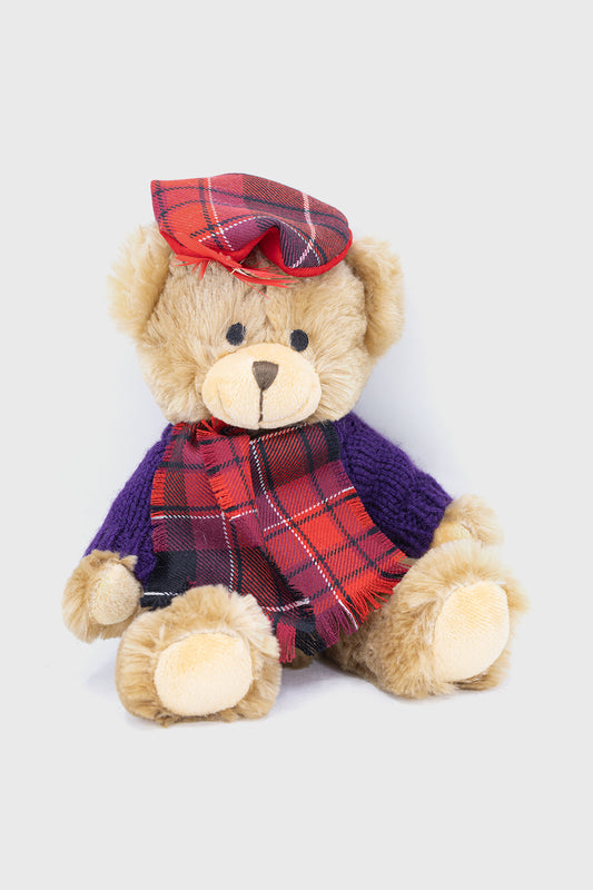 Welsh Pride Hamish Bear