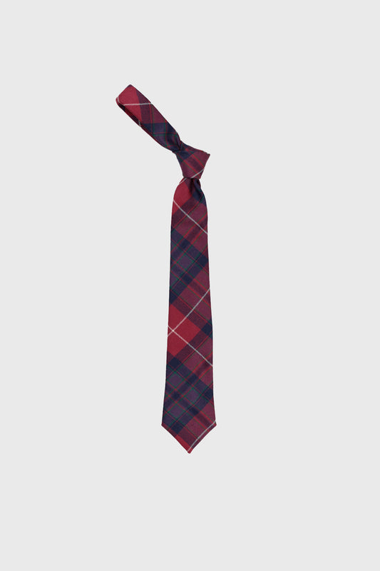 National Pride Boys Tie