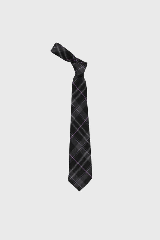 Platinum Pride Boys Tie