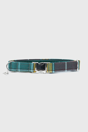 Buchanan Ancient - Luxury Dog Collar