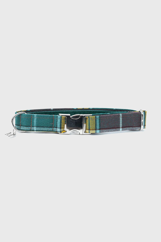 Buchanan Ancient - Luxury Dog Collar
