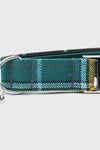 Buchanan Ancient - Luxury Dog Collar