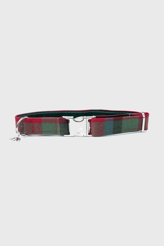 MacNaughton Ancient - Luxury Dog Collar