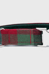 MacNaughton Ancient - Luxury Dog Collar