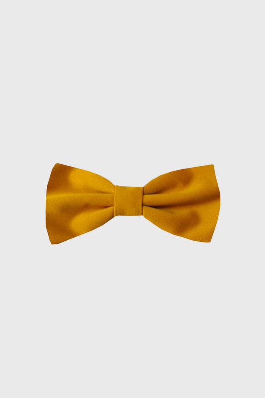 Burnt Orange Bow Tie