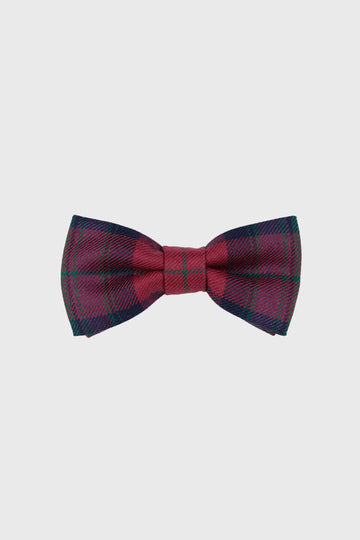 Autumn Pride Bow Tie