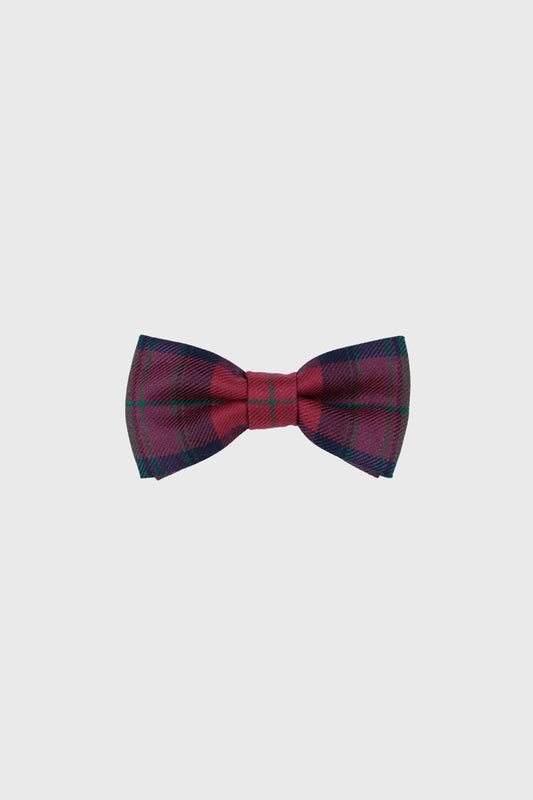 Autumn Pride Boys Bow Tie