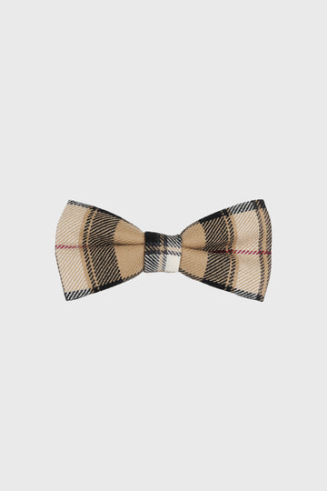 Gold Pride Bow Tie