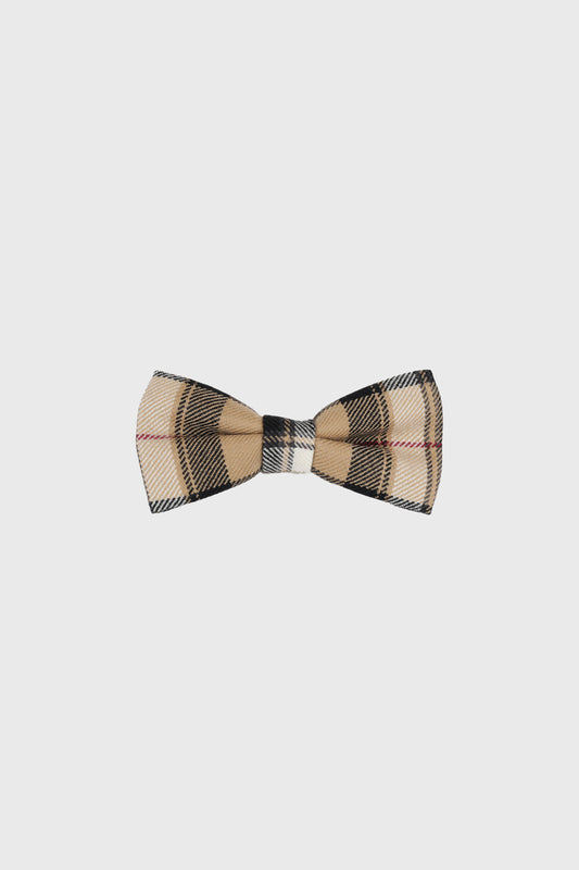 Gold Pride Boys Bow Tie