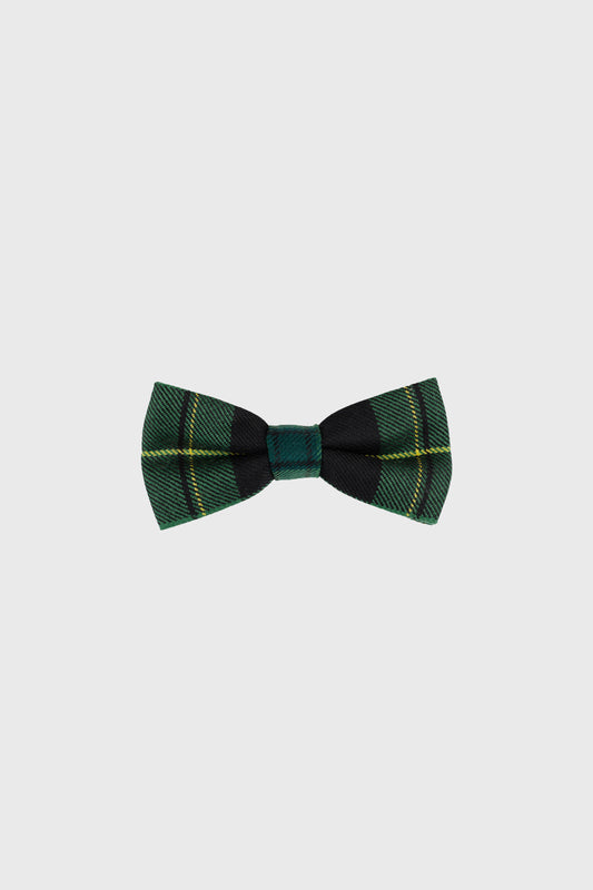 Irish Pride Boys Bow Tie