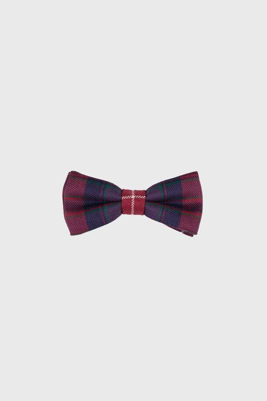 National Pride Boys Bow Tie