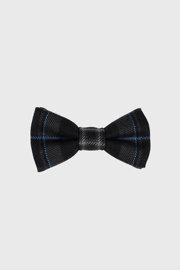 Royal Pride Bow Tie