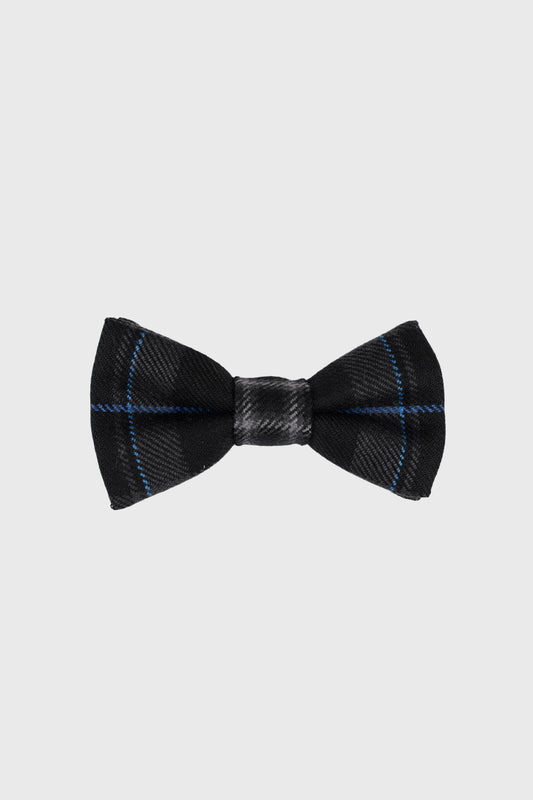 Royal Pride Bow Tie