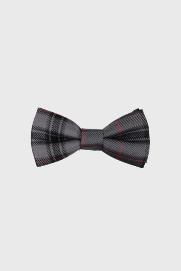 Silver Pride Bow Tie