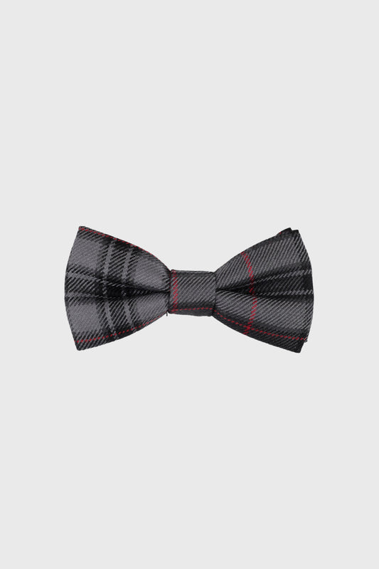 Silver Pride Bow Tie