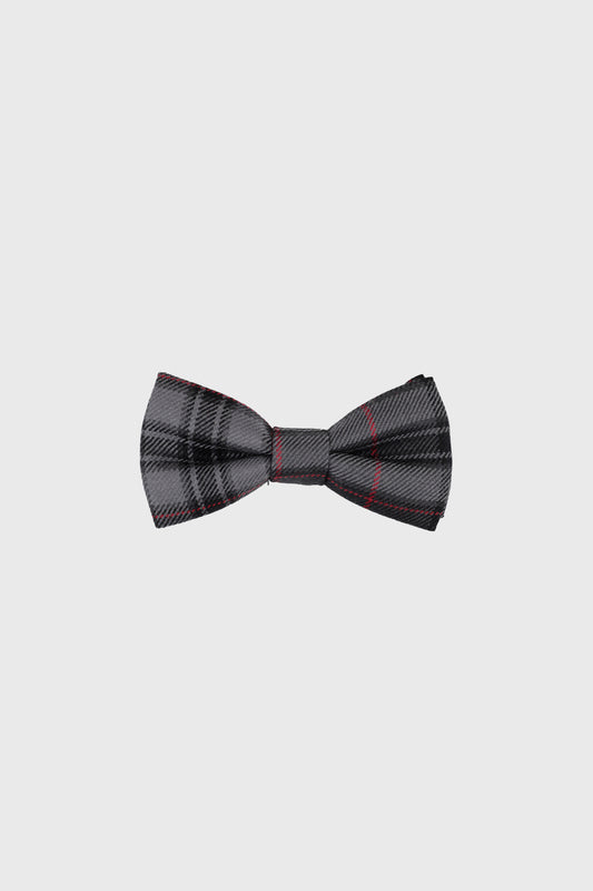 Silver Pride Boys Bow Tie