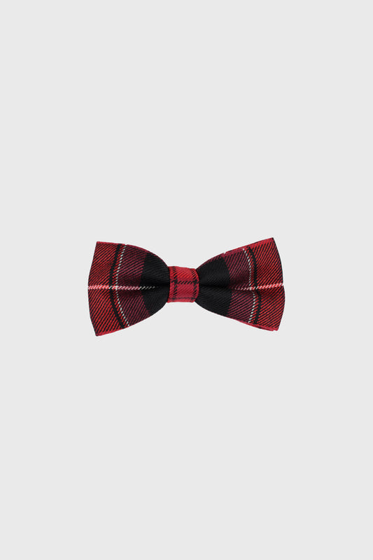 Welsh Pride Boys Bow Tie
