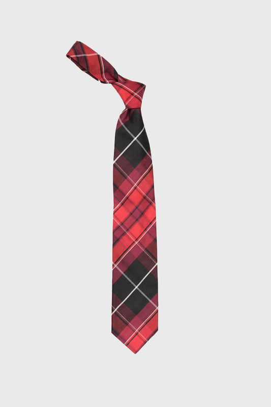 Welsh Pride Tie