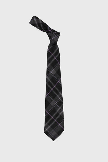 Platinum Pride Tie