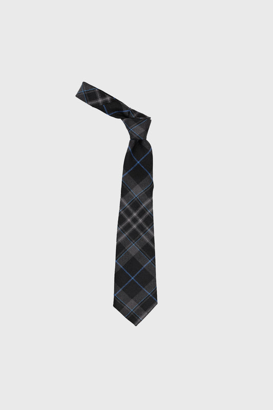 Royal Pride Boys Tie