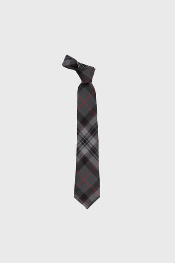Silver Pride Boys Tie