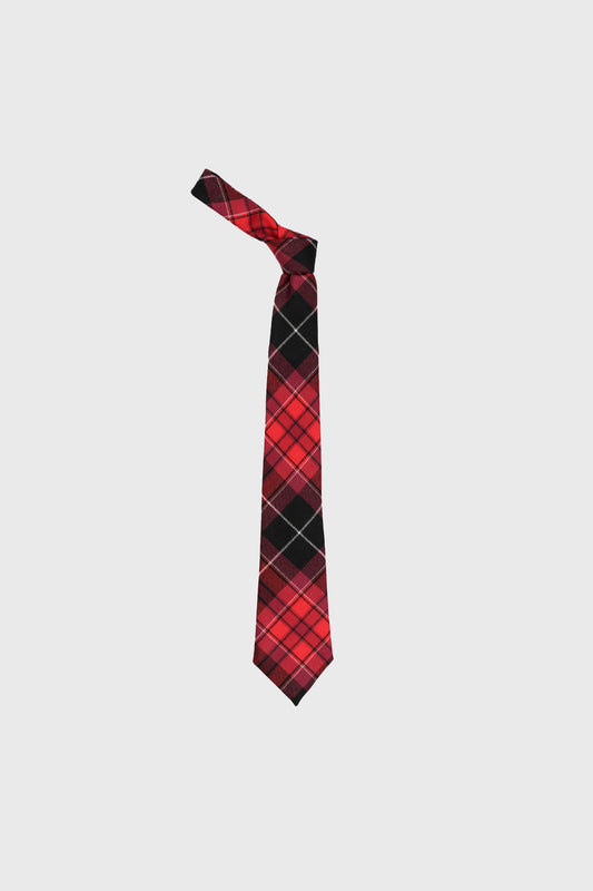 Welsh Pride Boys Tie