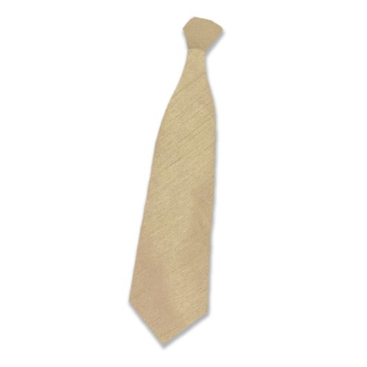 Champagne Gold Silk Tie