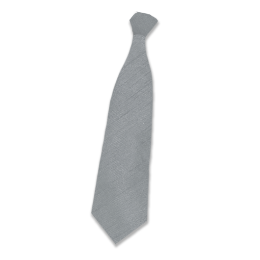 Silver Silk Tie