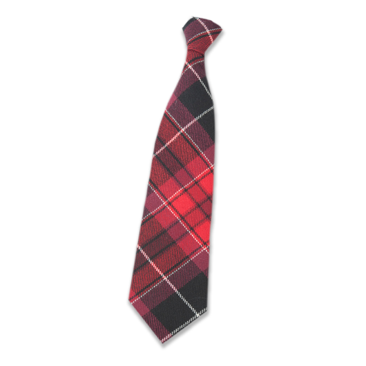 Pride of Wales Tartan Wool Tie