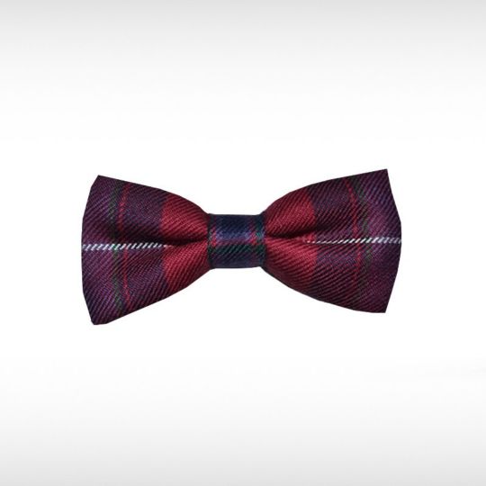 National Pride Bow Tie